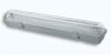 Fluorescent Fitting