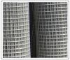 Welded  wire cloth