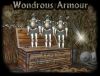 Wondrous Armour