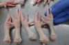 Frozen chicken paws Gr...