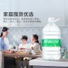 Guangdong Dinghu Sprin...