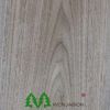 black walnut