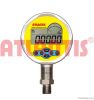 Digital Pressure Gauge