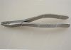 Dental Forcep