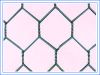 PVC Coated Hexagonal W...