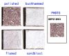 Granite / Under-mount ...