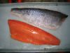 chum salmon fillets