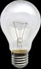 Incandescent Bulb