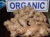 orgnic ginger