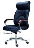 Director chair