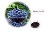 Natural Bilberry Extract Powder