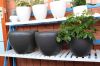 matte black colour Contemporary Round Small ceramic flower pot chrome gardenpots