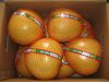 pomelo