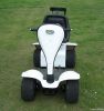 Golf Buggy (GB-100B)