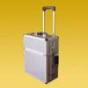 Aluminum  Luggage