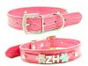 Pet collar & leash,rhinestone dog collar,pet products