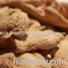 Organic Ashwagandha Root Powder | Withania Somnifera Powder