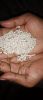 PP Recycled Granules