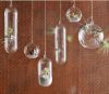 wholesale hanging glass vase garden Aquariums