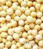 soybean isoflavones