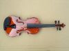 violin