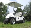 electric golf buggy