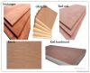 China commercial plywood