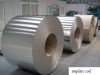 Tin Plate and Tin Coil