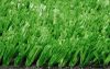 Artificial Grass