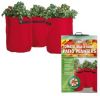 Tomato Patio Planter