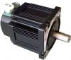 Brushless servo motor