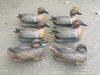 Duck hunting Green Wing Teal Decoy Economy Teal Decoys 12pk
