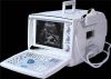 Portable Ultrasound Sc...