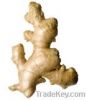 chinese ginger
