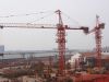 Tower Crane QTZ5013