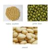 Yellow Soybean / Green...