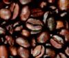 Export Arabica Coffee ...