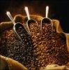 Export Robusta Coffee ...