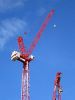 Luffing Tower Crane