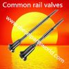 Common Rail Valves F00...