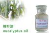 Organic Eucalyptus Oil...