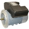 YL Series Induction Motor