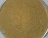 Champignon Extract Powder