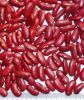 dark red kidney bean b...