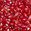 small red kidney bean