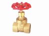 201 Brass Gate Valve