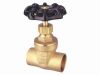 202 Brass Gate Valve