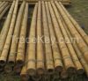 Bamboo Poles/Canes - G...