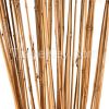 Bamboo Poles/Canes - G...