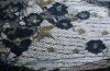 lace fabric/lace embro...